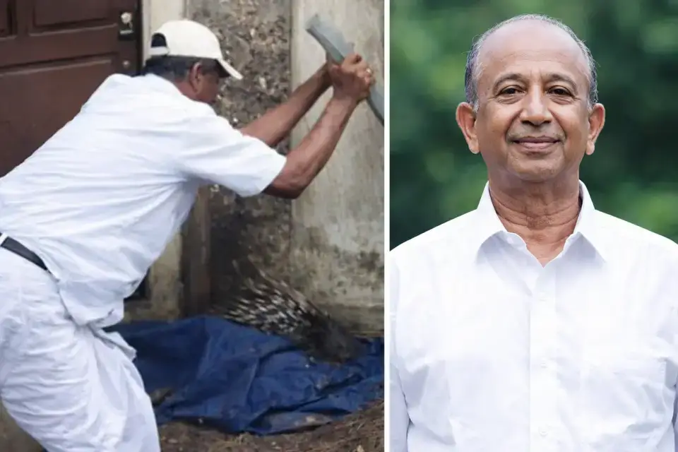 porcupine-killing-case